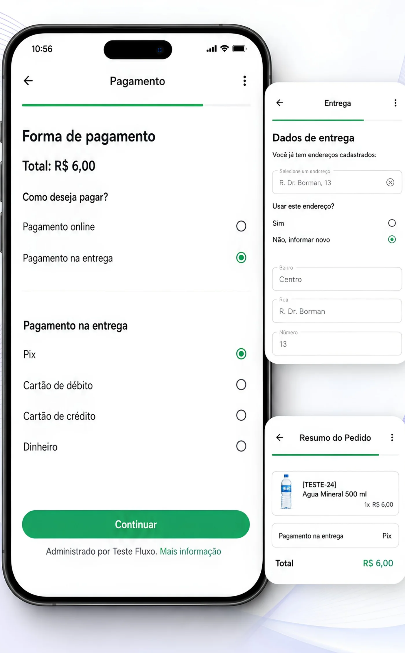 3. Entrega e pagamento
